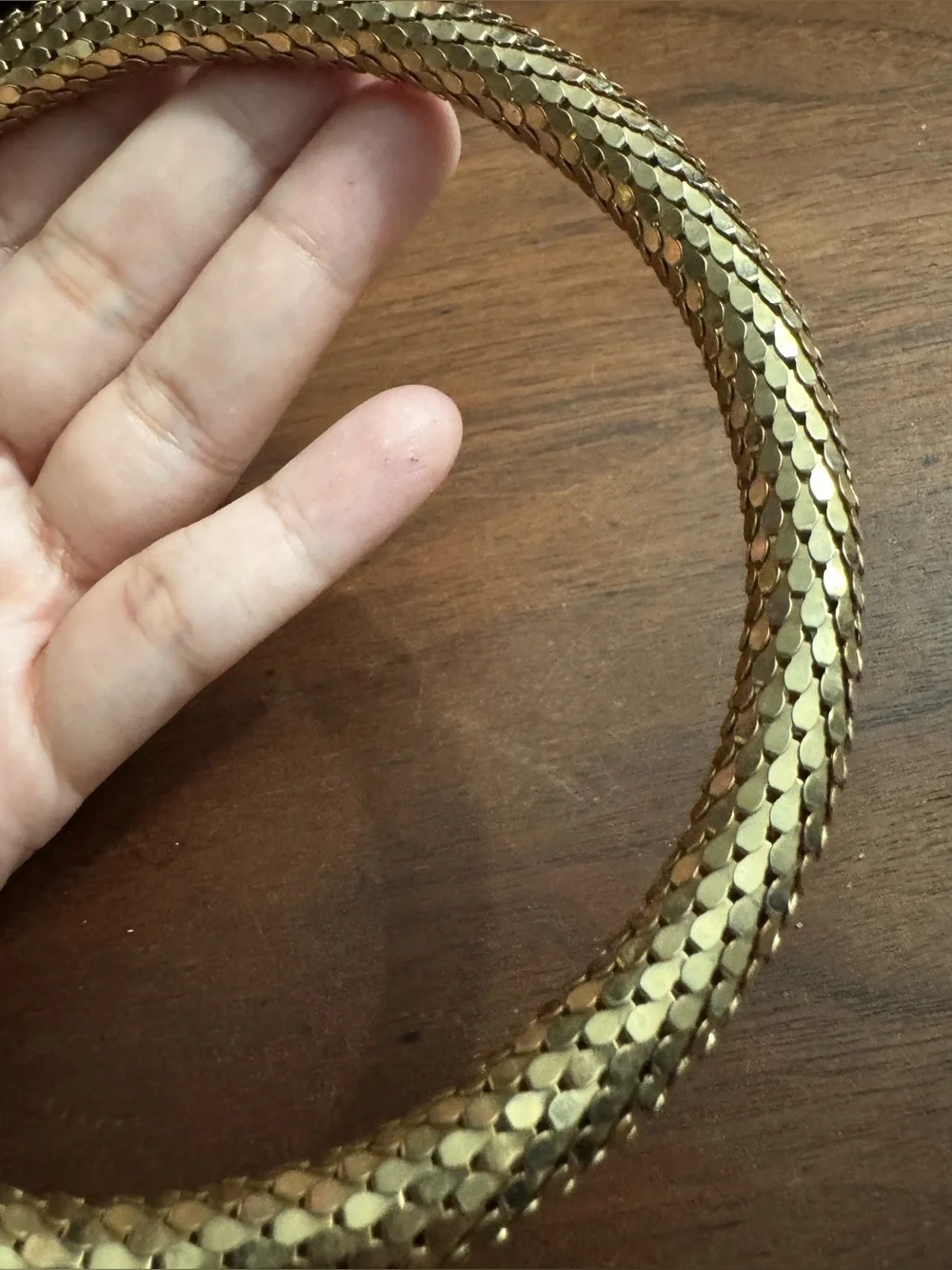 Vintage DL Auld Goldtoned Metal Mesh Adjustable Snake Choker Necklace *READ*